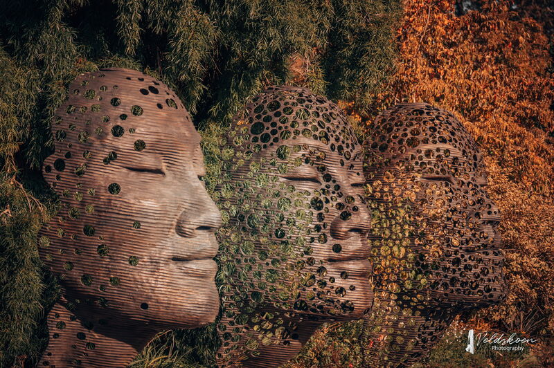 STREAM OF CONSCIENCE SERIES - a Land Art by Anton Smit